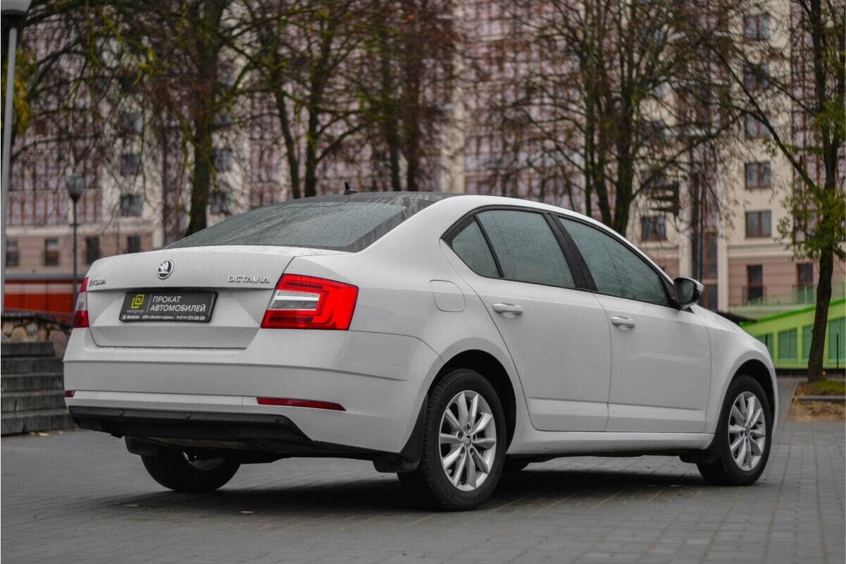 Аренда  Skoda Octavia A7 Black edition MT  1 класса 2018-2021 года в городе Минск от 37 $/сутки,  двигатель: Бензин , объем 1.6 литров, КАСКО (Мультидрайв), без водителя, вид 8 - West Group