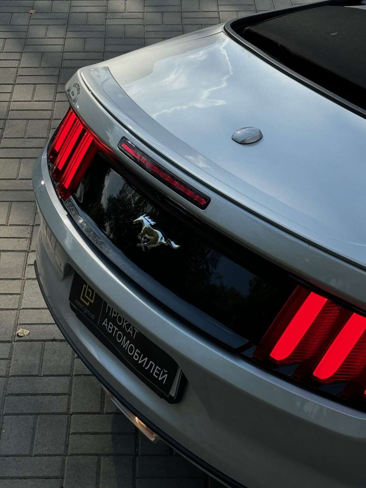 Ford Mustang Cabrio VI EcoBoost - фото №3