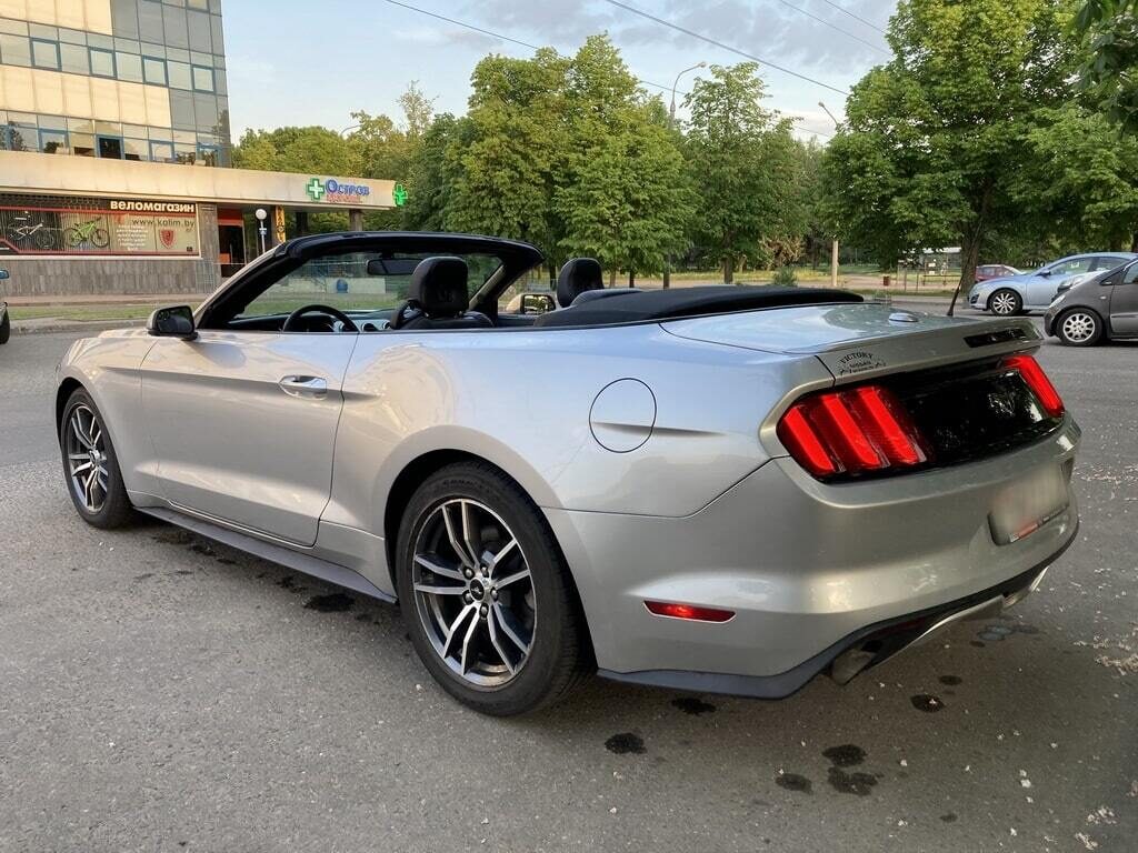 Аренда  Ford Mustang Cabrio VI EcoBoost  5 класса 2019 года в городе Минск от 95 $/сутки,  двигатель: Бензин , объем 2.3 AT EcoBoost литров, КАСКО (Мультидрайв), без водителя, вид 2 - West Group