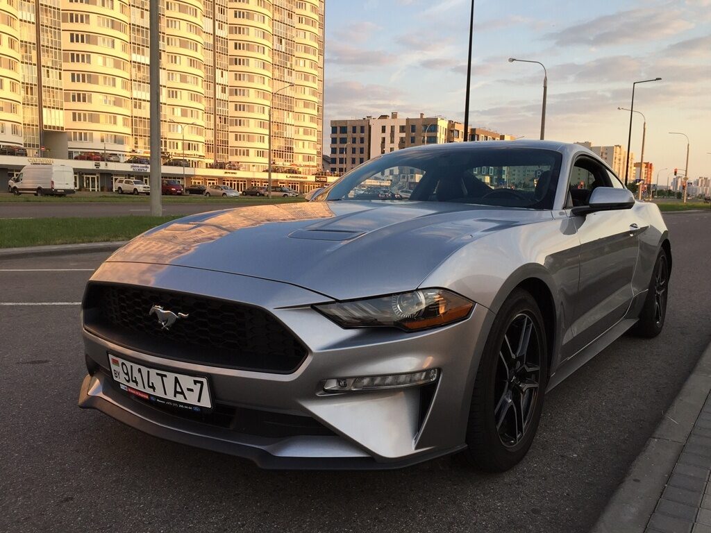 Аренда  Ford Mustang Coupe Gray EcoBoost Premium  5 класса 2020 года в городе Минск от 95 $/сутки,  двигатель: Бензин , объем 2.3 Ecobust литров, КАСКО (Мультидрайв), без водителя, вид 6 - West Group