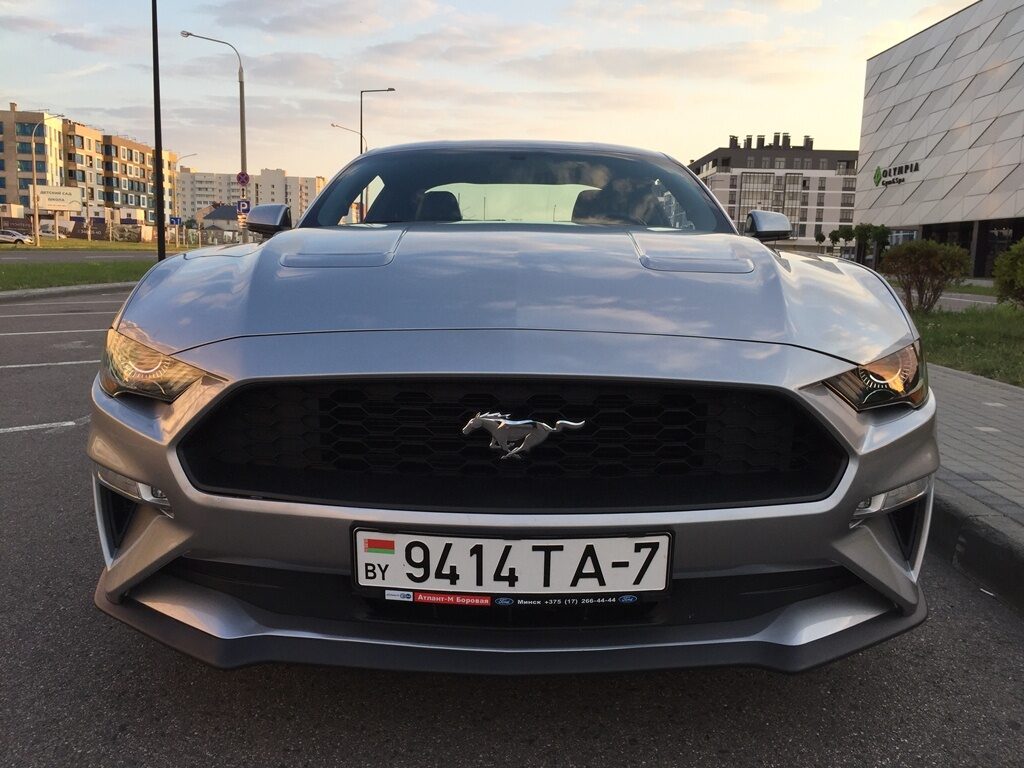 Аренда  Ford Mustang Coupe Gray EcoBoost Premium  5 класса 2020 года в городе Минск от 95 $/сутки,  двигатель: Бензин , объем 2.3 Ecobust литров, КАСКО (Мультидрайв), без водителя, вид 8 - West Group