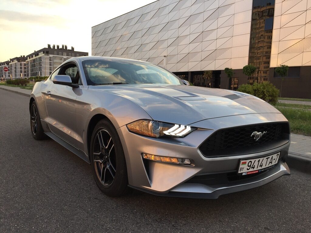 Аренда  Ford Mustang Coupe Gray EcoBoost Premium  5 класса 2020 года в городе Минск от 95 $/сутки,  двигатель: Бензин , объем 2.3 Ecobust литров, КАСКО (Мультидрайв), без водителя, вид 1 - West Group
