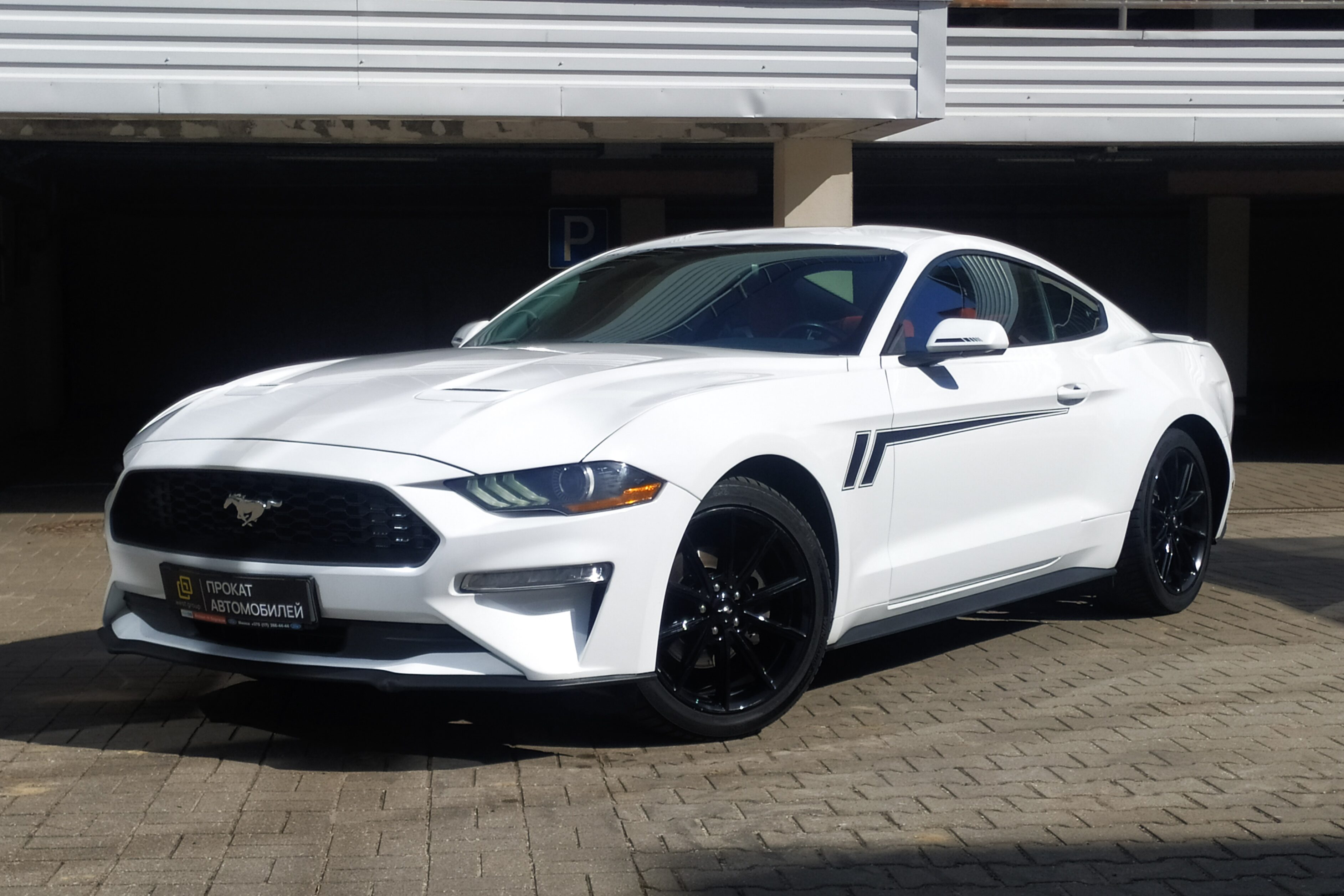 Взять на прокат Купе Ford Mustang White  2018 года выпуска 