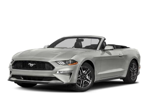 Взять на прокат Кабриолет Ford Mustang Cabrio Silver  2019 года выпуска 