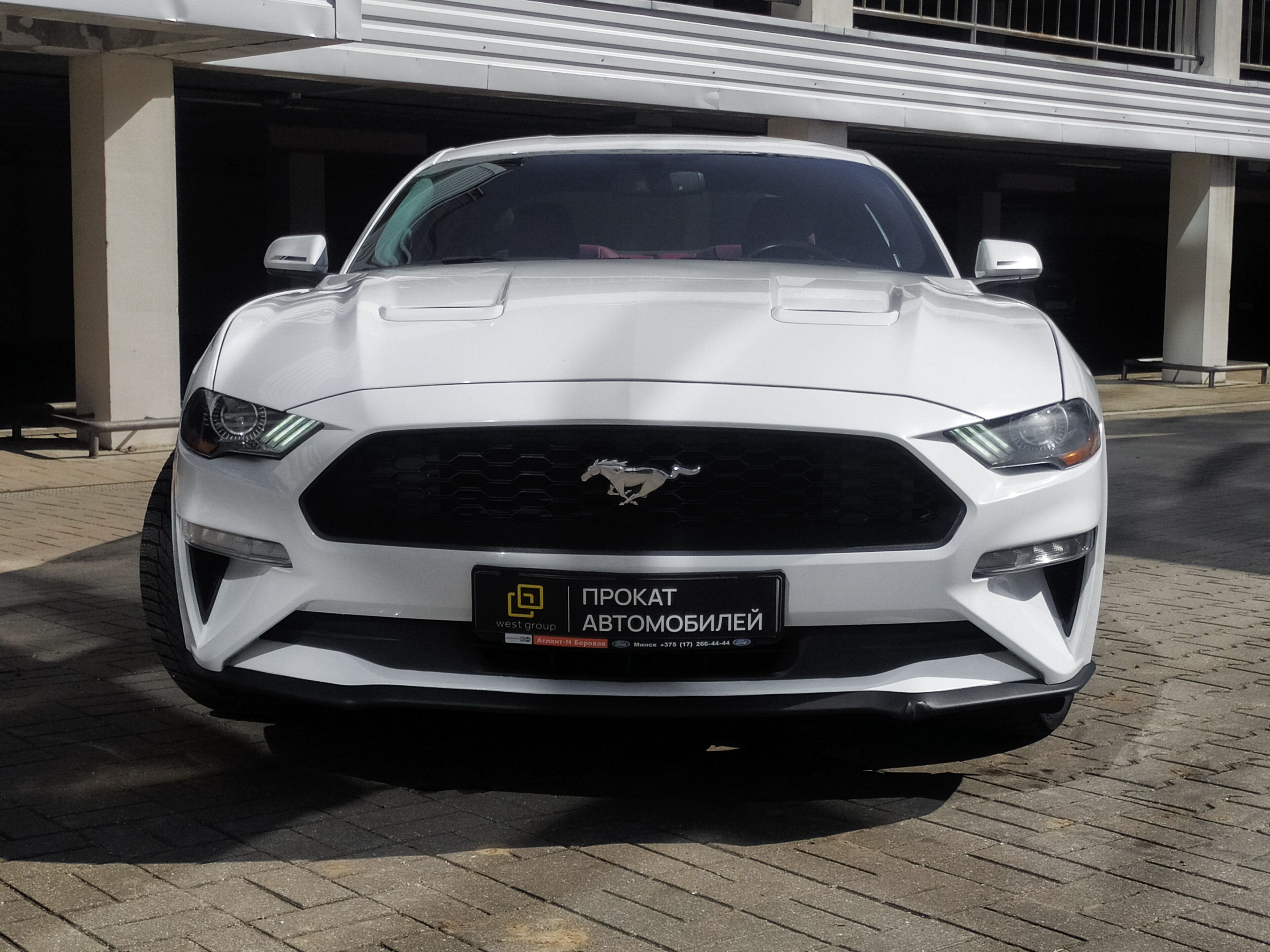 Аренда  Ford Mustang Coupe White EcoBoost Premium  5 класса 2018 года в городе Минск от 95 $/сутки,  двигатель: Бензин , объем 2.3 Ecobust литров, КАСКО (Мультидрайв), без водителя, вид 3 - West Group
