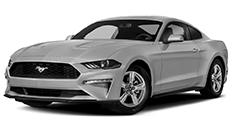 Ford Mustang (Gray)